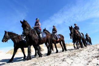 Paardrijden op het strand van Terschelling - Puur Terschelling